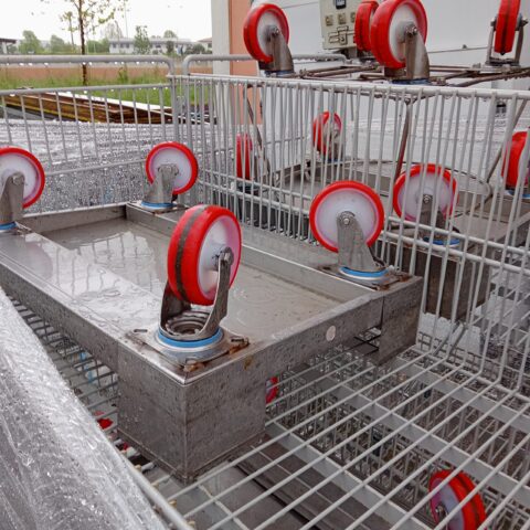 Carrello Carrelli per cassette rosse per Carni Euro E2 usati 5 pz   *** VENDUTI ***