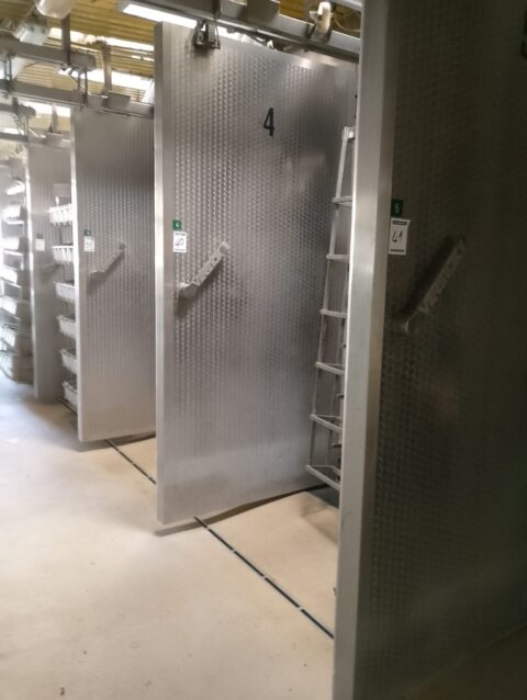 Forni Cottura VERINOX usati